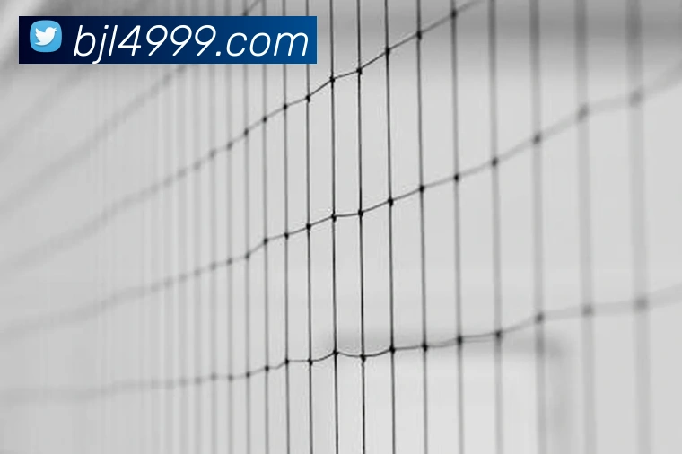 对战数据统计
